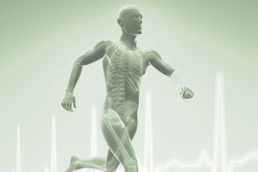 beitrag_leistungsdiag